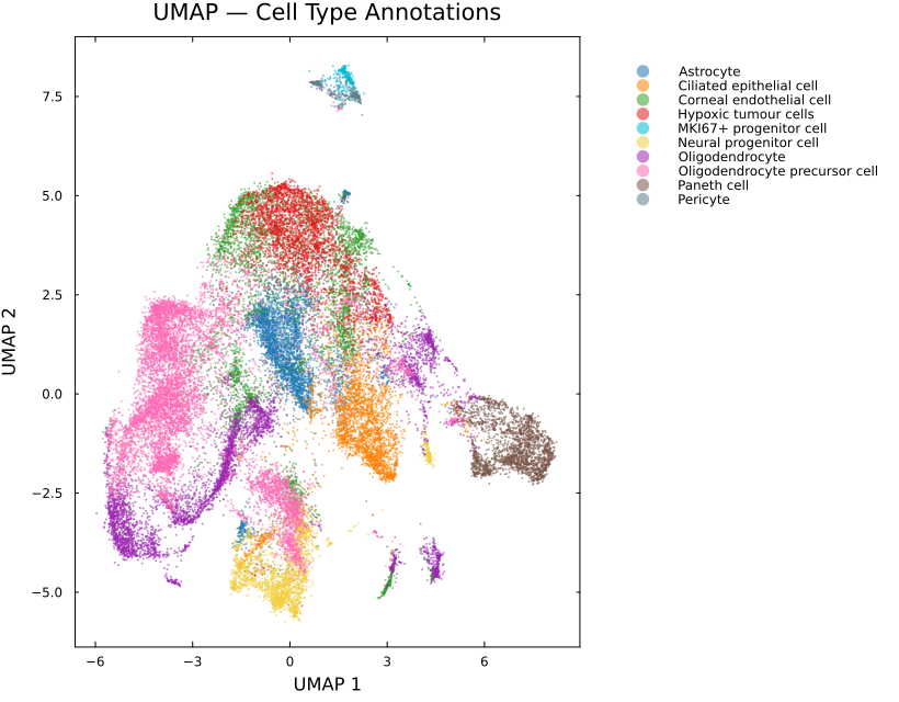 GBM UMAP Cell Types